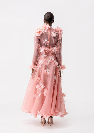 Dana Pink Dress set