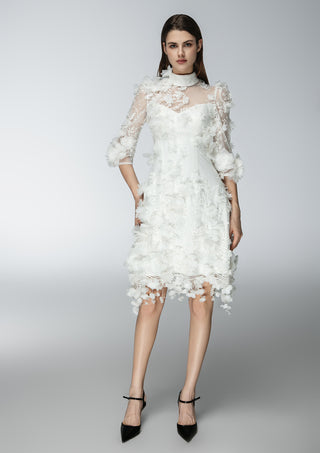 Claire Lace Gown